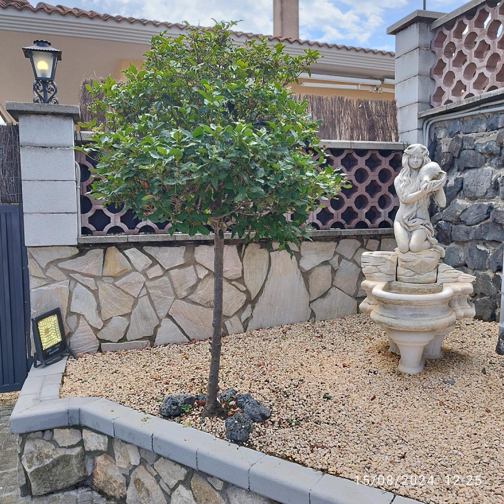 La Biznaga Villa Fogas de Tordera Bagian luar foto